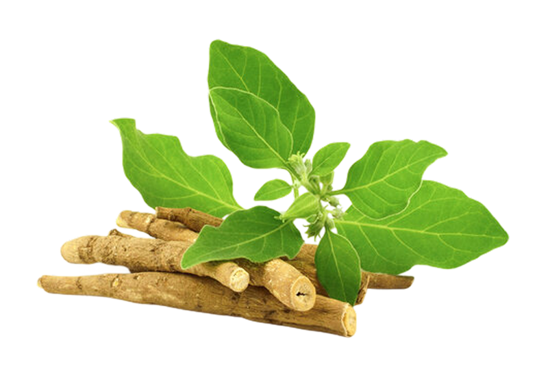 Ingredients Image